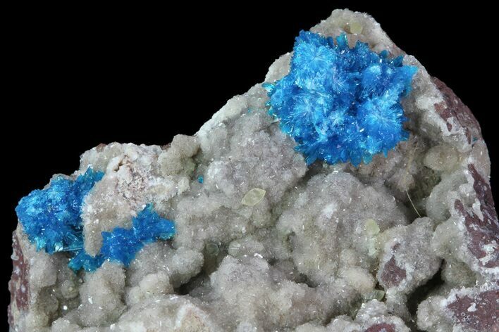 Vibrant Blue Cavansite Clusters on Stilbite - India #67800